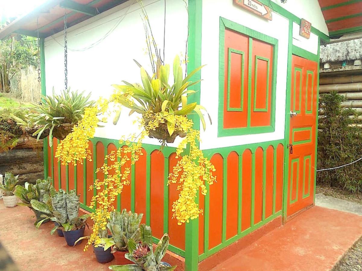 Hostal Estrella De Agua سالنتو المظهر الخارجي الصورة