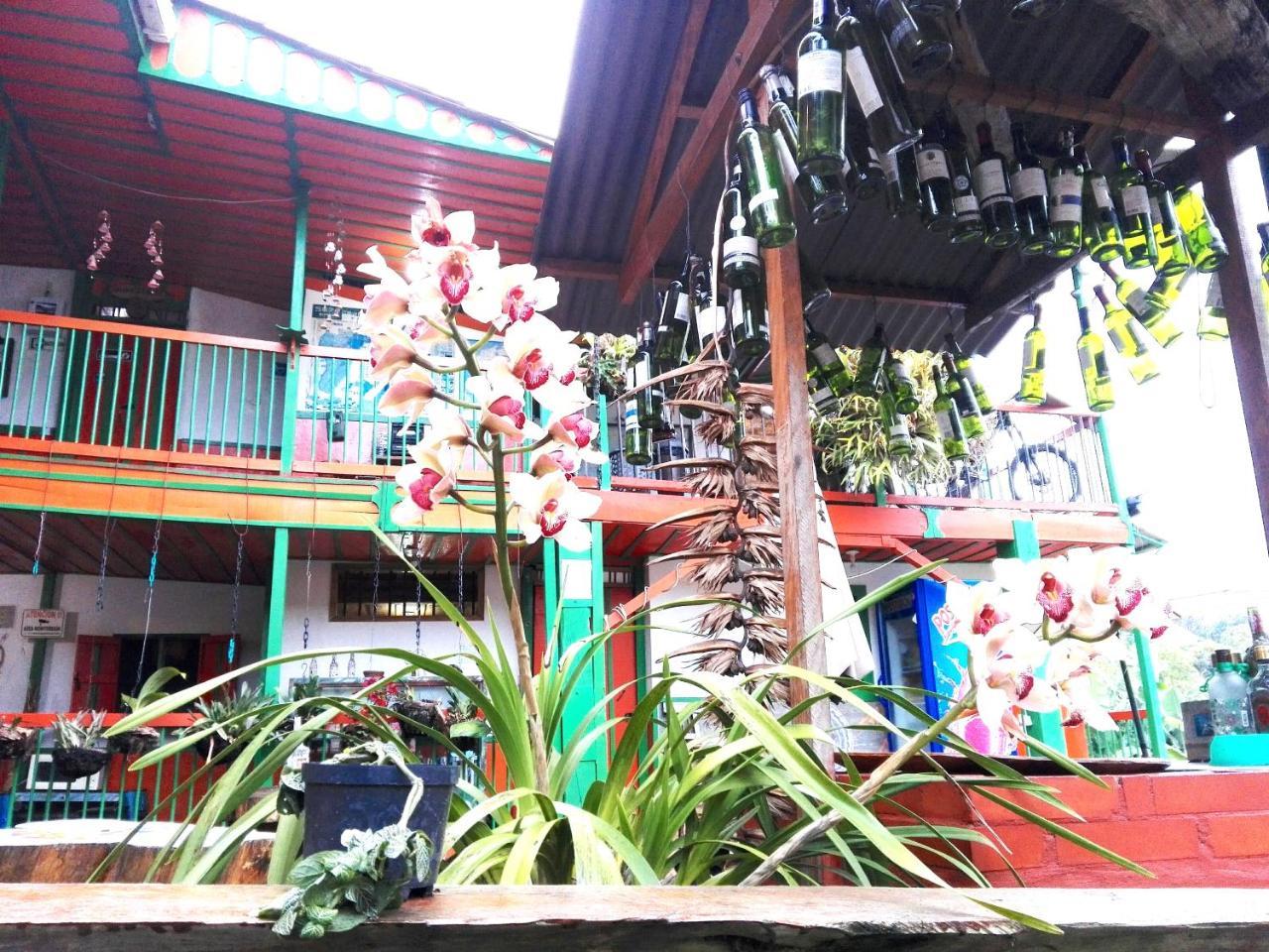 Hostal Estrella De Agua سالنتو المظهر الخارجي الصورة